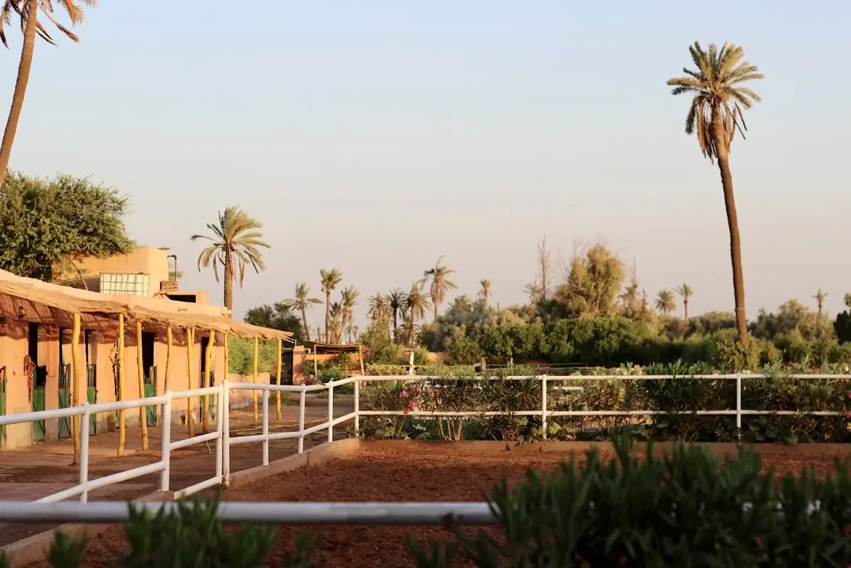 Les Amis Du Cheval Marrakech · Équitation · Marrakech