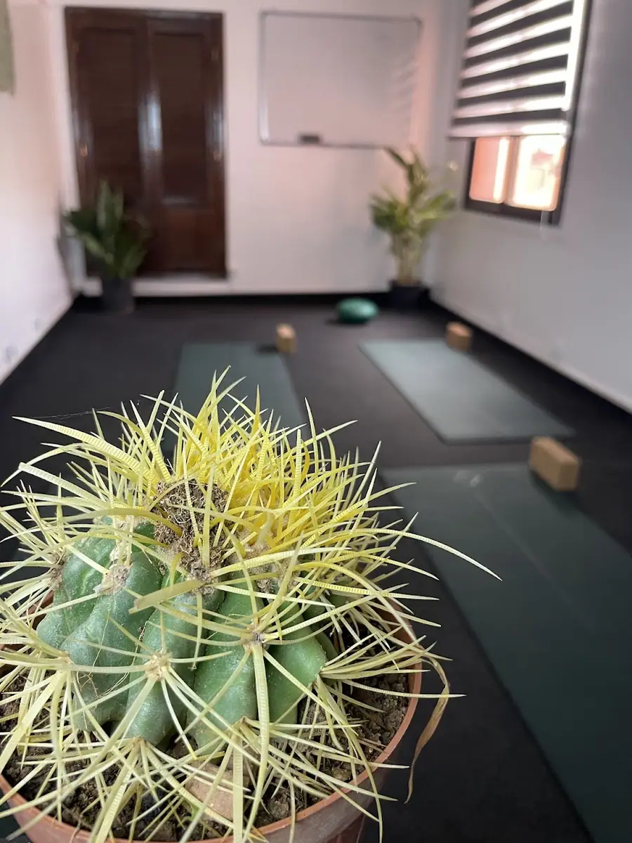 KIOZE - YOGA Marrakech, Studio Yoga 100% FEMMES, Pilates Marrakech, Dance Orientale, Boxe femmes, Cours de Yoga Marrakech · Yoga & Pilates · Marrakech · photo 3
