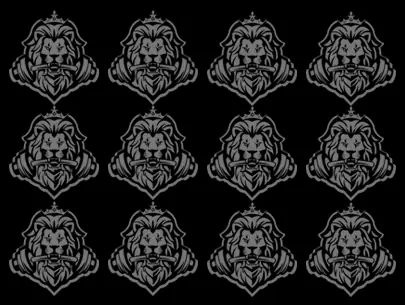 Lion Fitness · Fitness & Musculation · Meknès