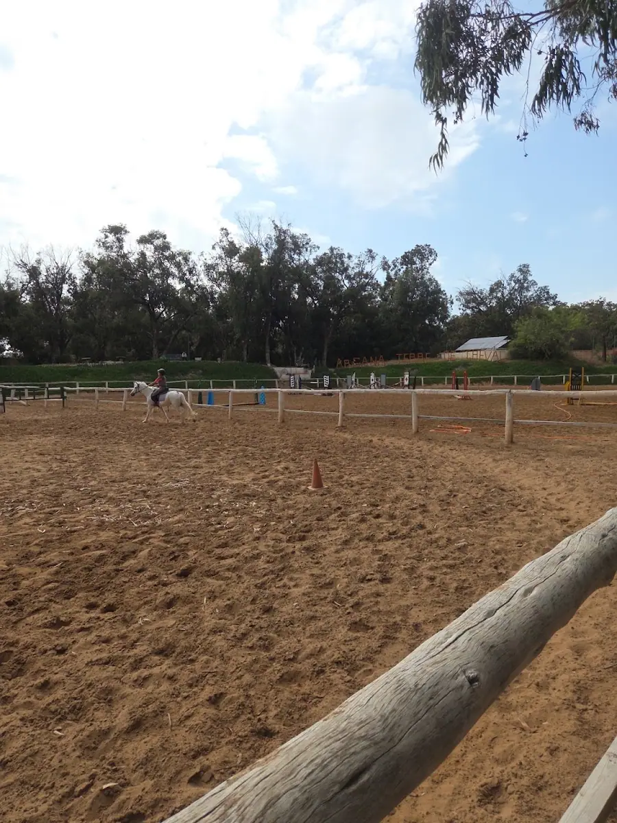 Argana terre de cheval · Équitation · Agadir · photo 3