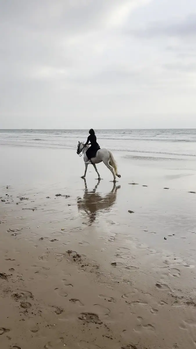 Equestrian Center Agadir Ocean Horse · Équitation · Agadir · photo 2