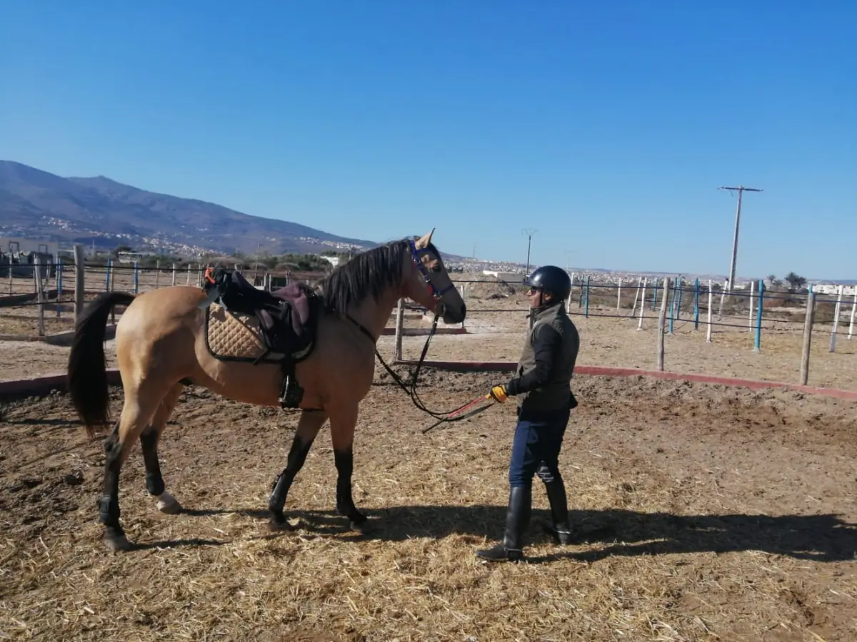 نادي تازودة للفروسية · Équitation · Nador