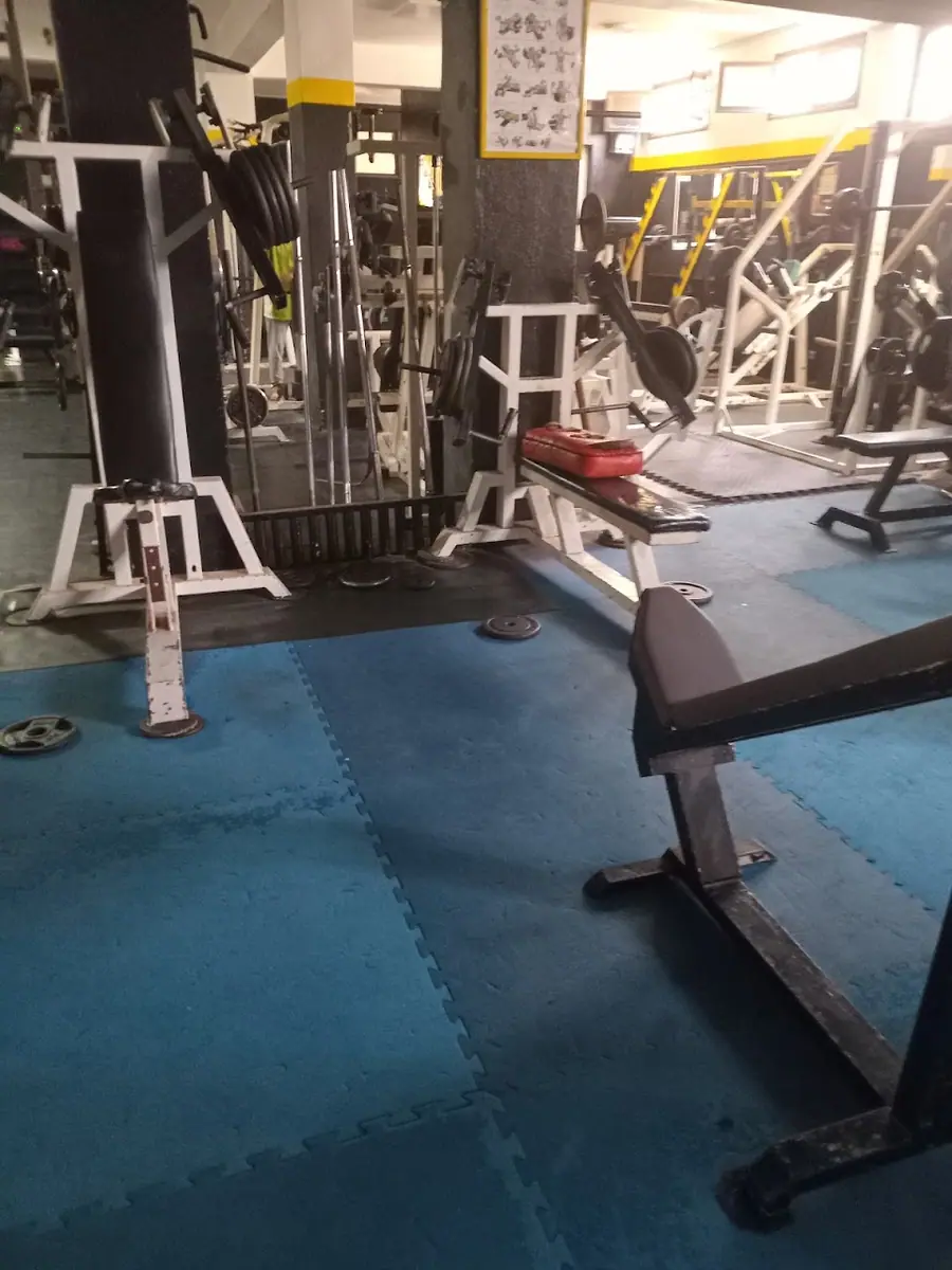 قاعة رياضة · Fitness & Musculation · Agadir