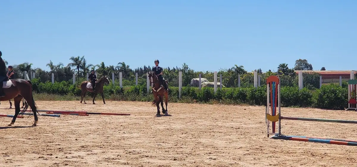 Equestrian Center Ouled Azzouz Les Ecuyers De Casablanca · Équitation · Casablanca · photo 2