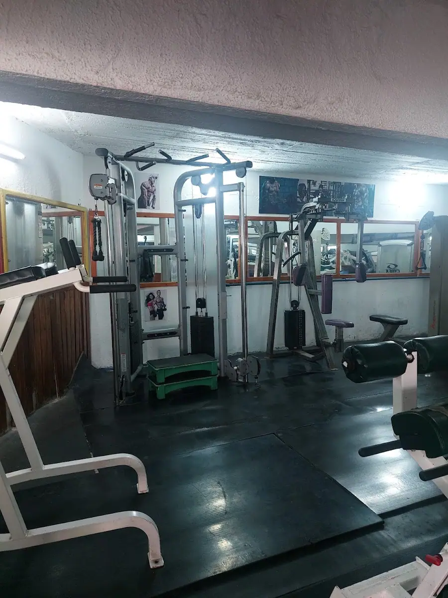 Safi Salam Sport · Fitness & Musculation · Safi · photo 3