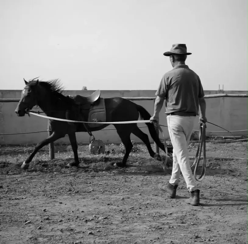 Club Équestre Rekab Academy · Équitation · El Jadida · photo 2
