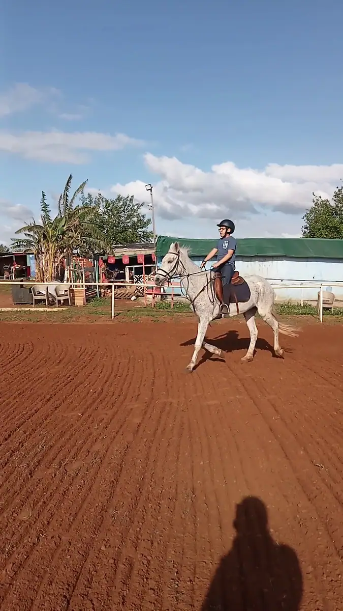Club d'Art Équestre · Équitation · Rabat