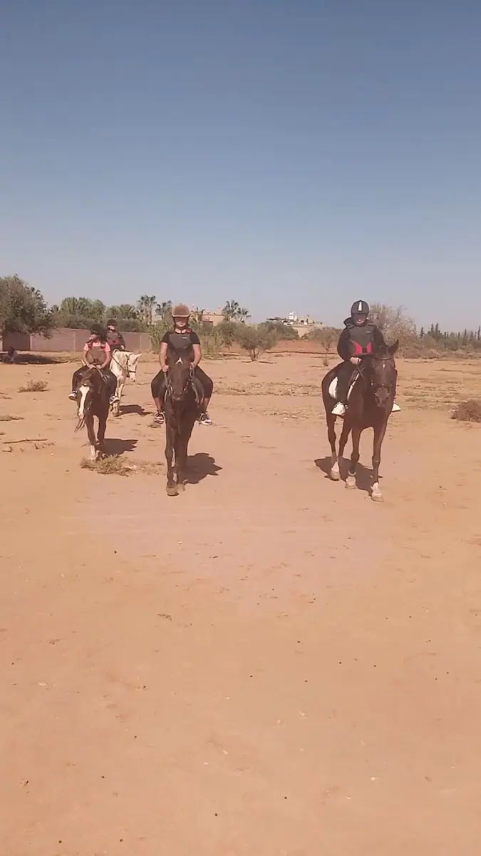Ranch Family Horse · Équitation · Marrakech · photo 2