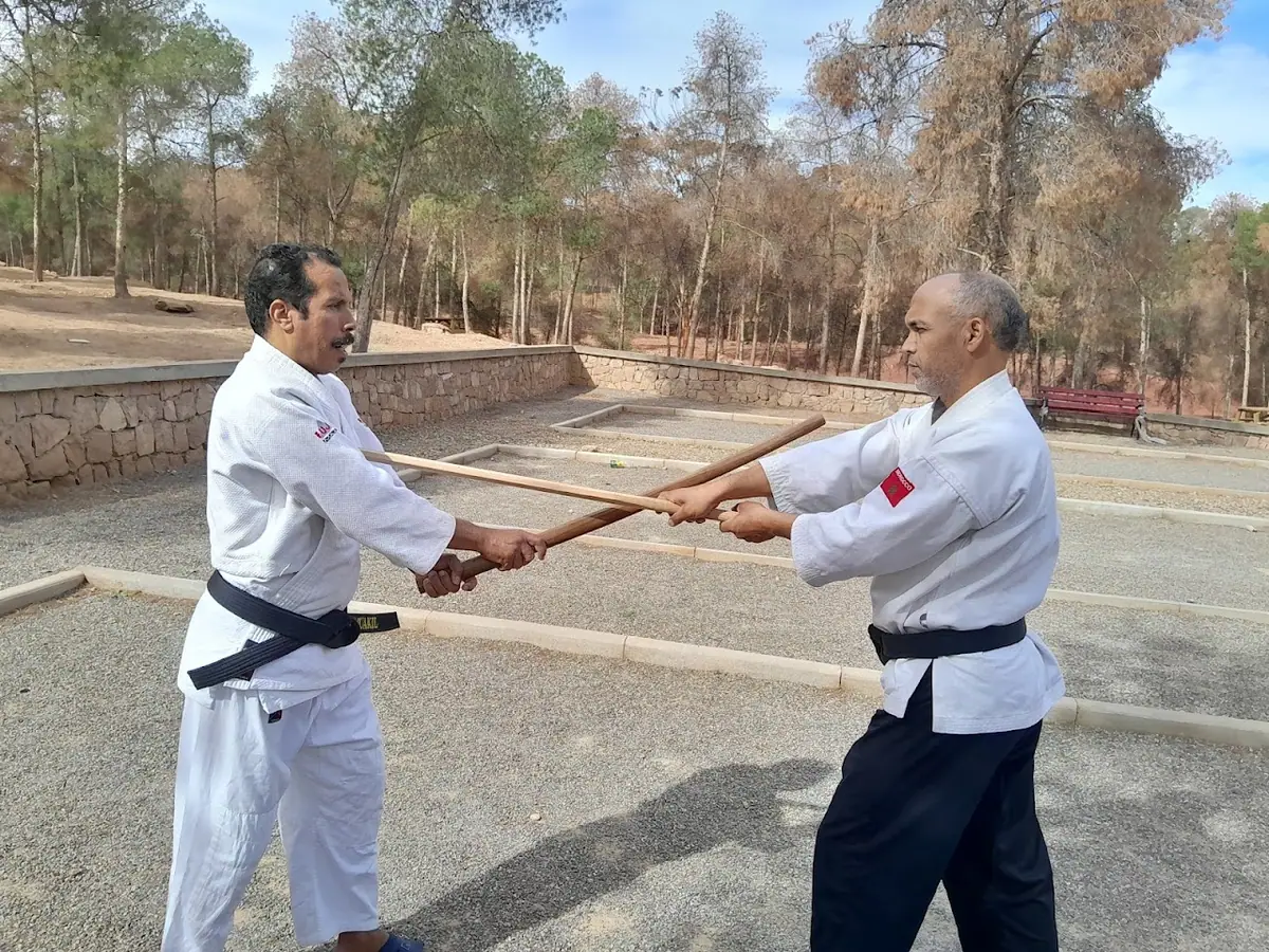 Comite takemusu aikido Maroc .ass siraje aikido et self defence · Arts Martiaux · Meknès
