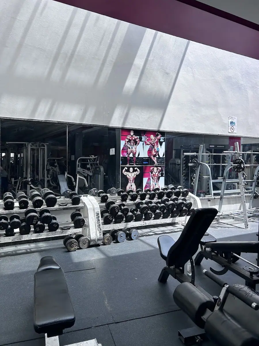 Asa Fitness · Fitness & Musculation · Marrakech · photo 2