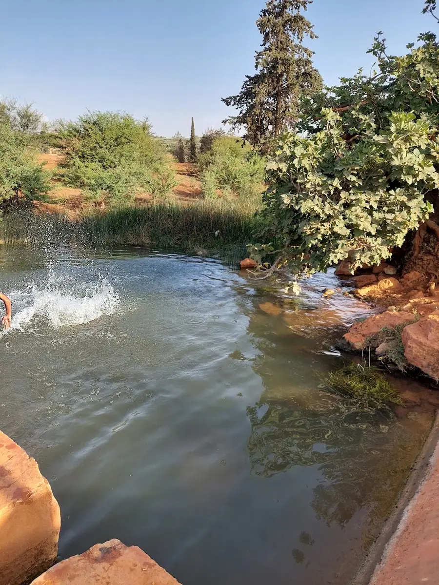 مسبح عين أغبال · Natation · Meknès