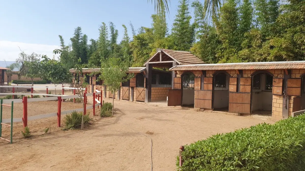 Club Équestre California · Équitation · Oujda · photo 3