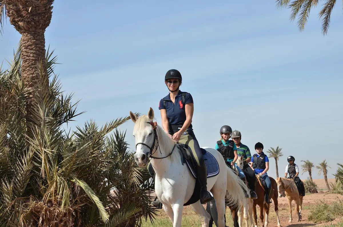 مغرييب · Équitation · Marrakech · photo 3