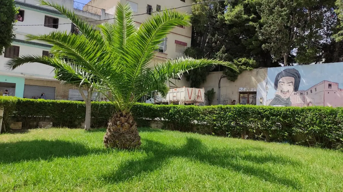 Club asafwa De Sport À Tétouan · Arts Martiaux · Tétouan · photo 3