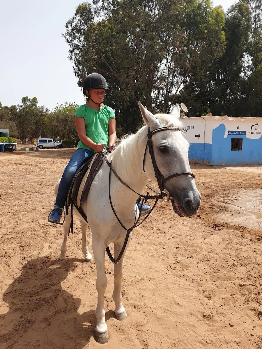 Centre Equestre Bensergao · Équitation · Agadir · photo 2