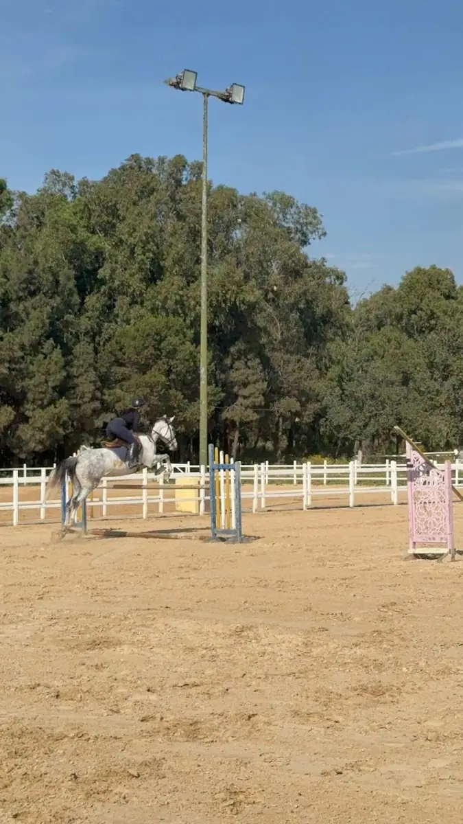Royal Club Equestre l’Eperon d’Argent · Équitation · Casablanca · photo 3