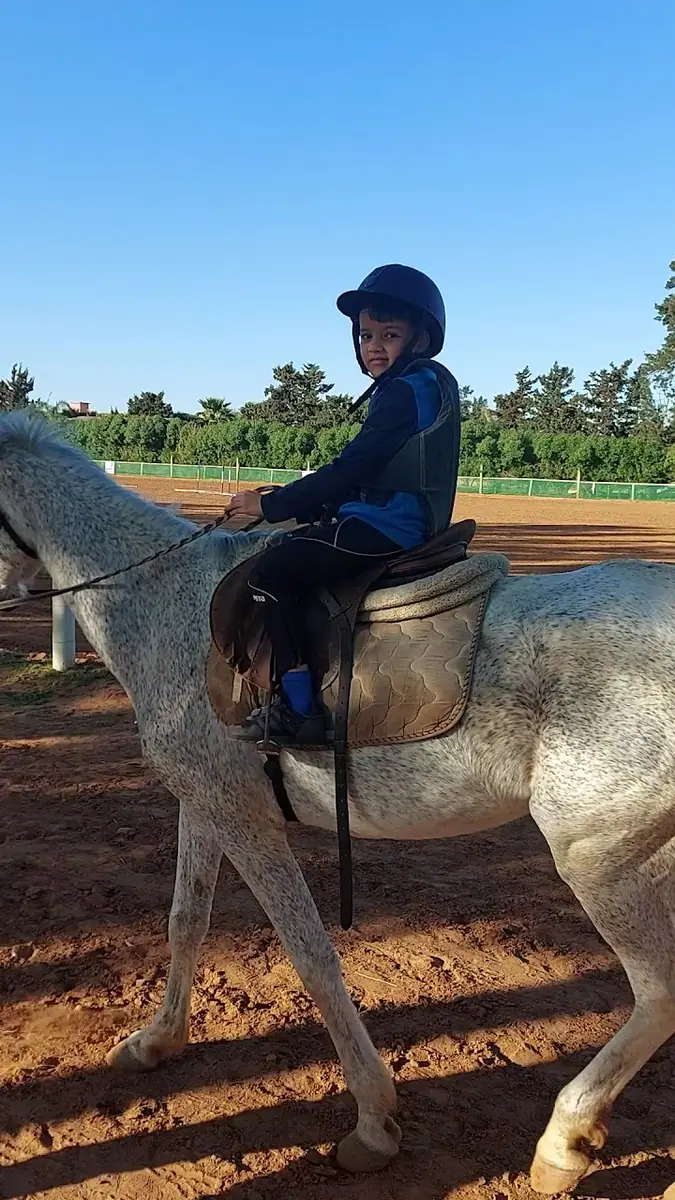 Shoul's Horse · Équitation · Rabat · photo 2