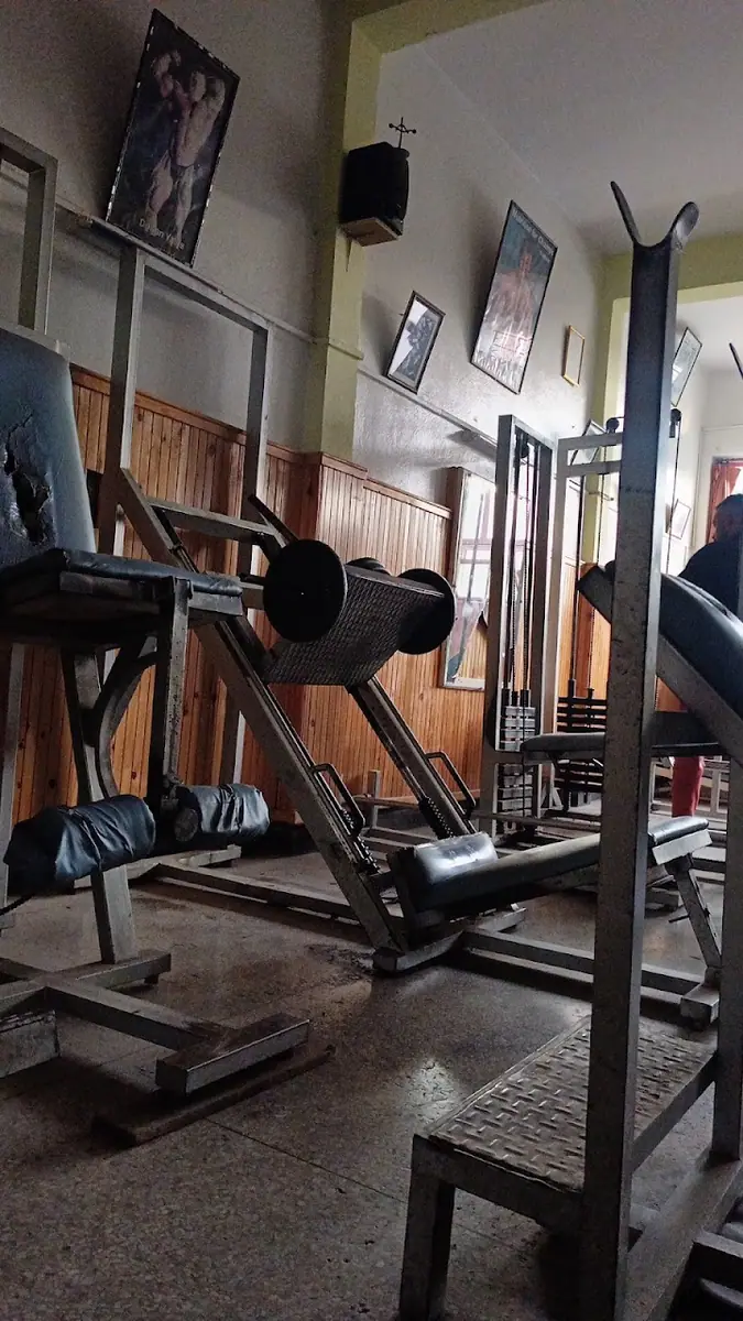 Gym Weider · Fitness & Musculation · Fès