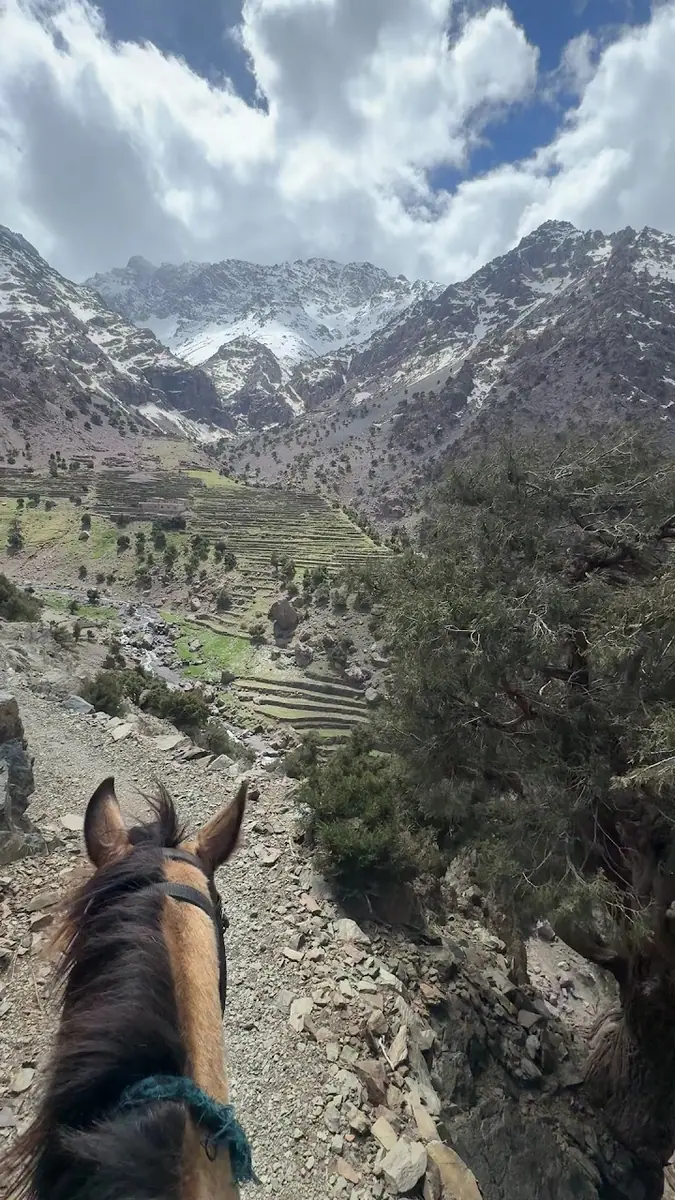 مغرييب · Équitation · Marrakech · photo 2