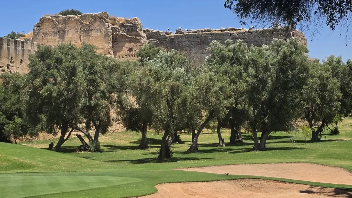 Royal Golf de Meknes · Golf · Meknès