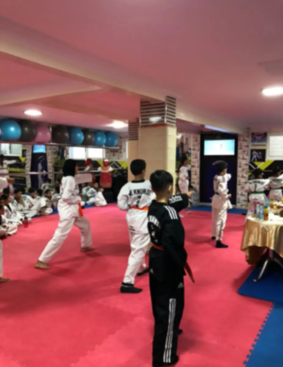 Association Touhfa de Taekwondo · Arts Martiaux · Meknès · photo 2