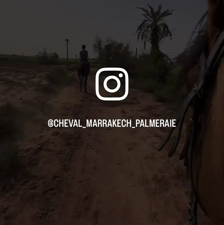 Equitation Cheval Marrakech - Horseback Riding Palmeraie · Équitation · Marrakech · photo 2