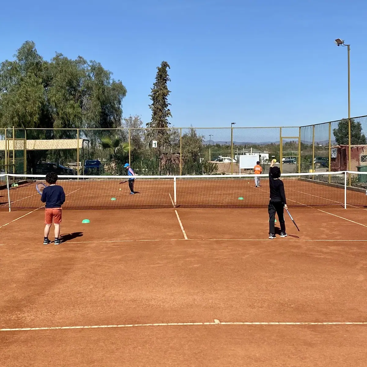 Palm Tennis CLUB & PADEL · Tennis · Marrakech · photo 3