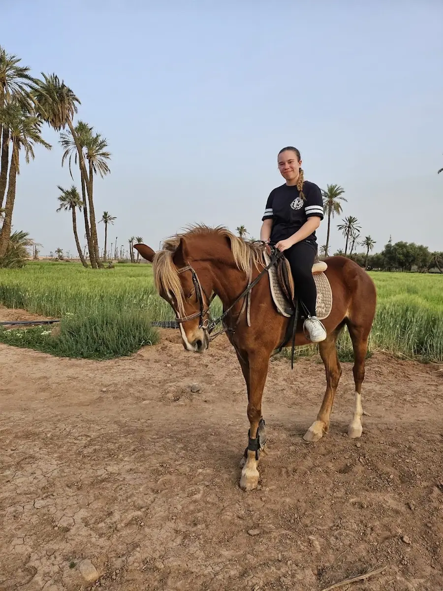 Equestre Palmeraie - Cheval Marrakech atlas · Équitation · Marrakech