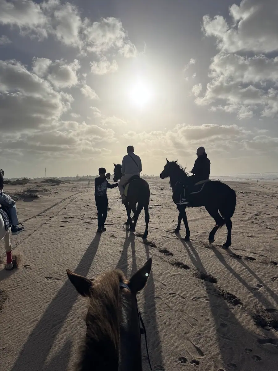 Férem pour dés balade cheval · Équitation · Casablanca · photo 3