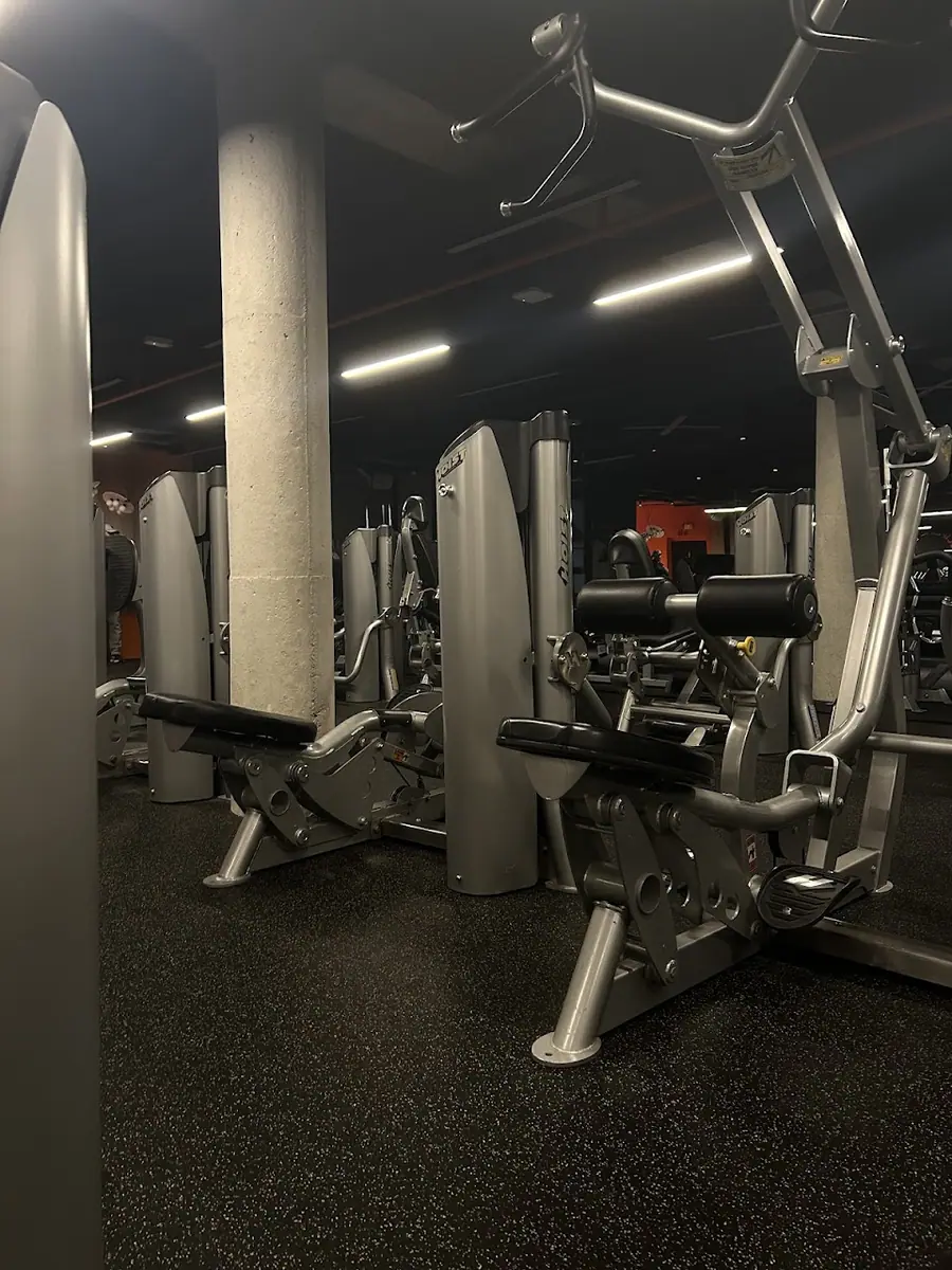 The fitness club · Fitness & Musculation · Fès