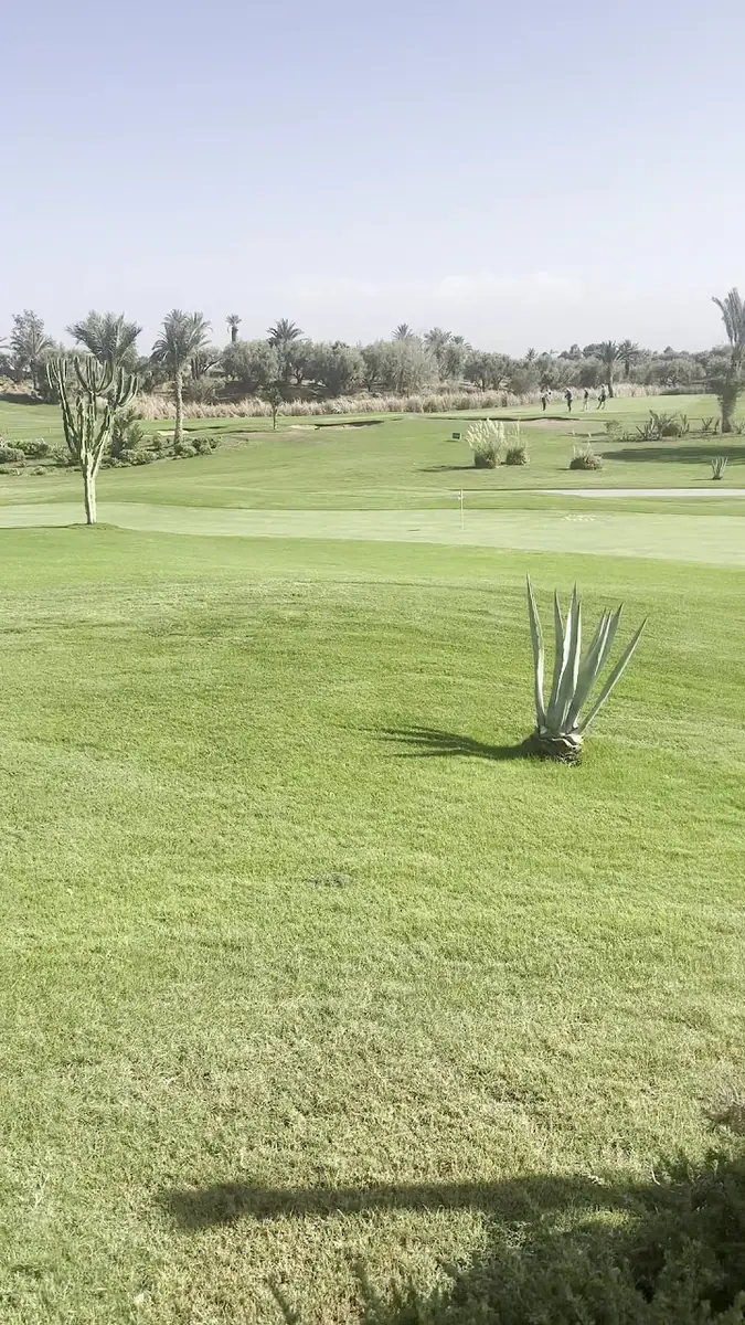Hotel Fairmont Royal Palm Marrakech Golf Course · Golf · Marrakech · photo 2