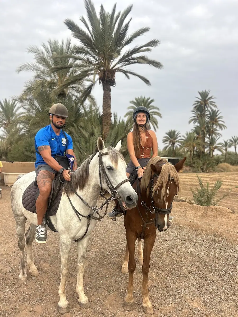 Cheval Marrakech · Équitation · Marrakech