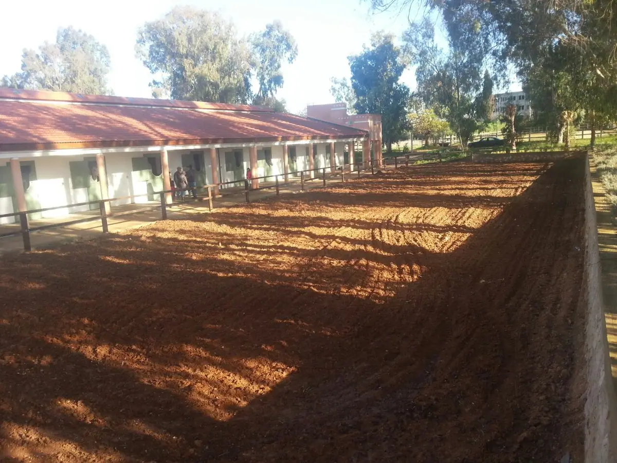 Club De L'etrier De Meknès · Équitation · Meknès · photo 2