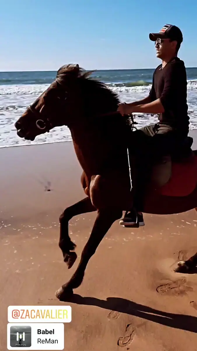 Centre L'étalon noir · Équitation · Casablanca · photo 3