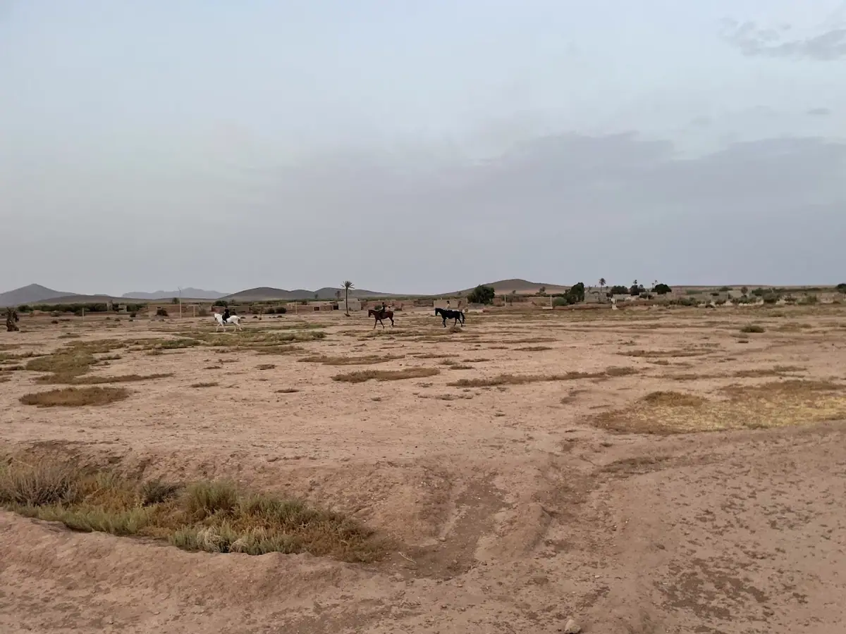 Sunset Horse Ranch · Équitation · Marrakech · photo 2