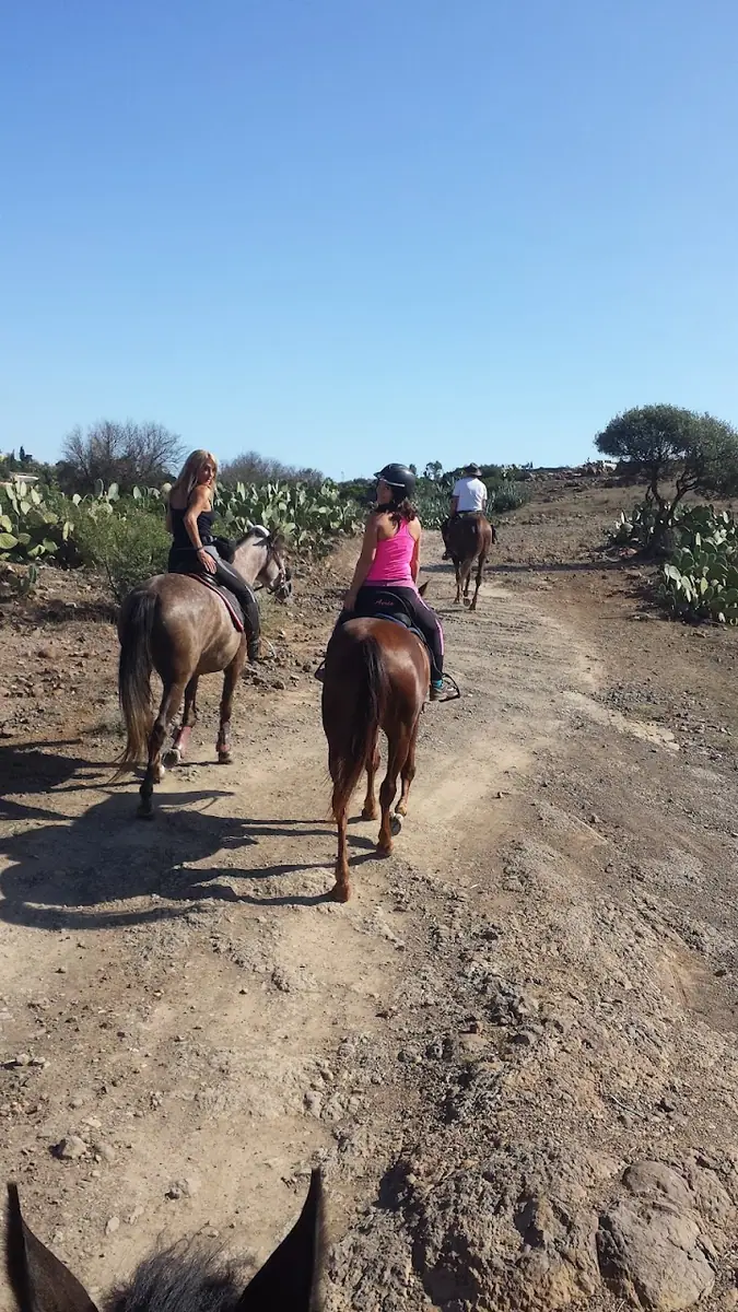 Finca caballos "Finca la Yeguada de Tisamrin" · Équitation · Nador · photo 3