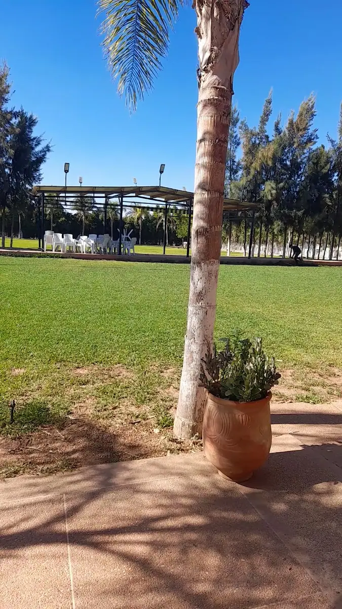 Club Équestre California · Équitation · Oujda · photo 2