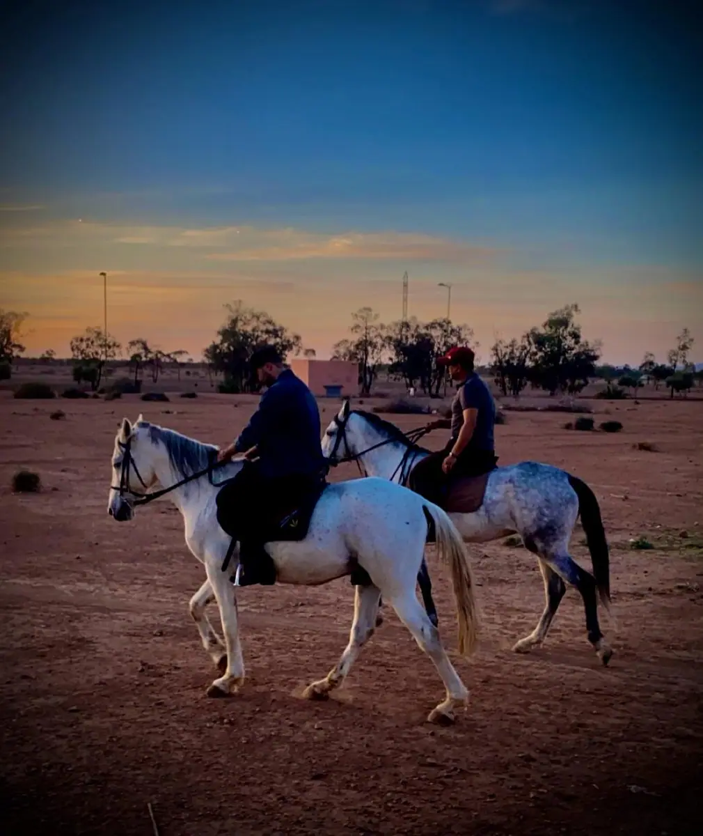 Domaine Équestre · Équitation · Marrakech