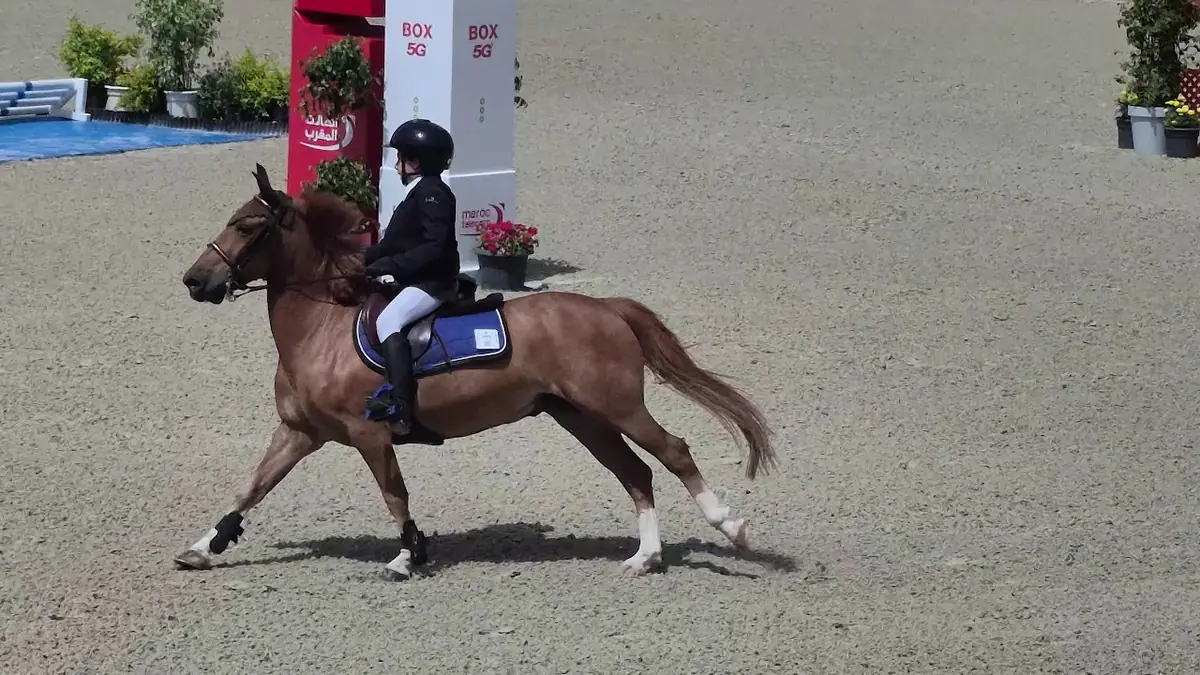 Dar Es-salam Equestrian Sport · Équitation · Rabat · photo 2