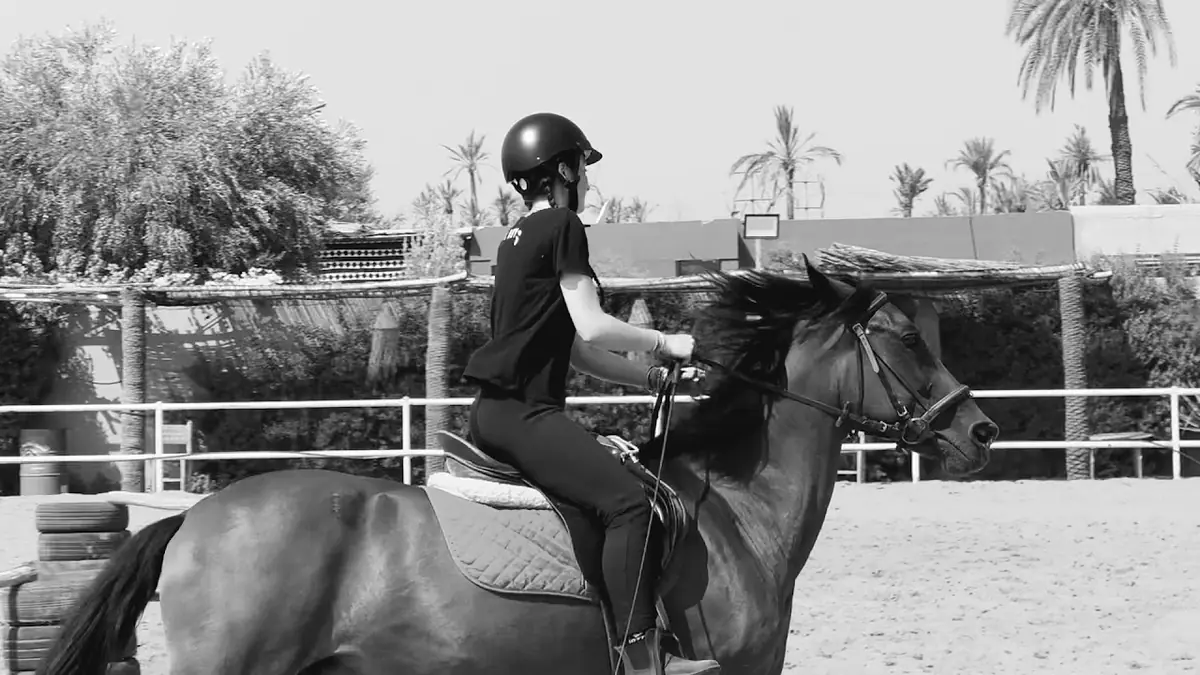 Les Amis Du Cheval Marrakech · Équitation · Marrakech · photo 2