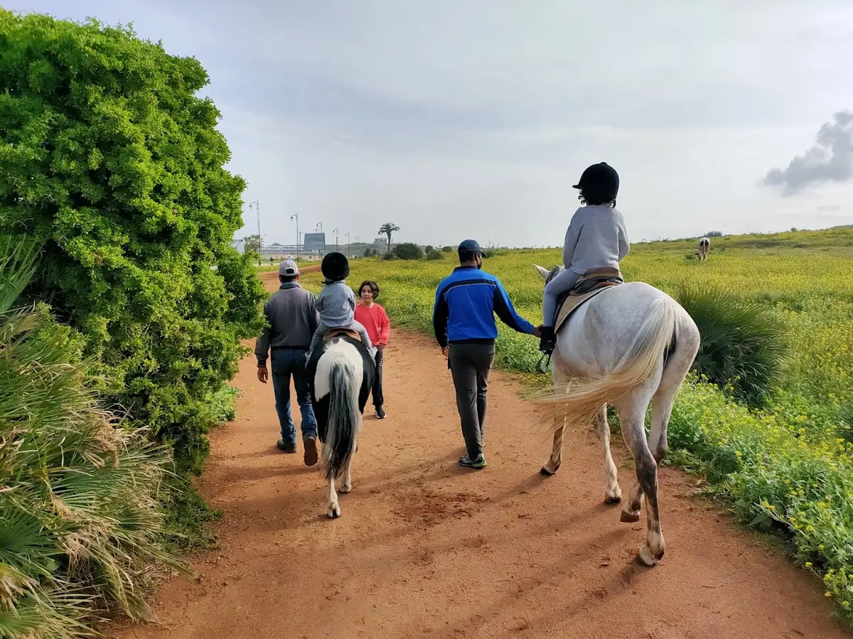 Club Equestre Oued Ykem · Équitation · Rabat · photo 3