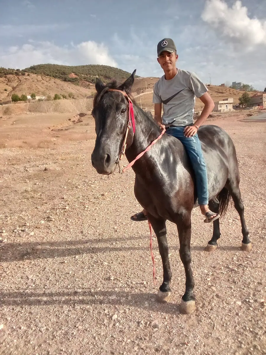 نادي الفروسية · Équitation · Meknès