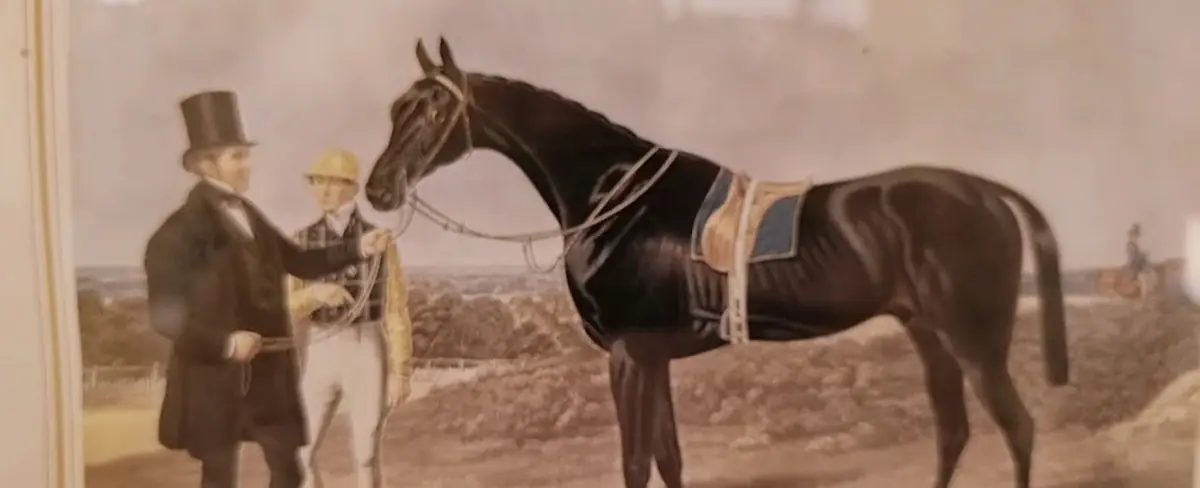Club Farah D'équitation · Équitation · Meknès · photo 2