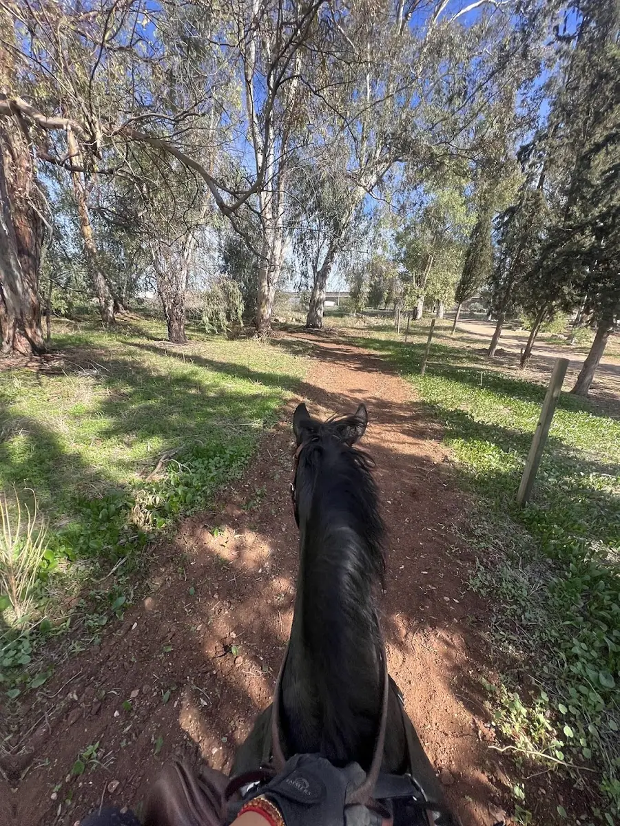 Club De L'etrier De Meknès · Équitation · Meknès