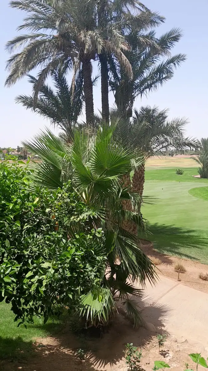 Amelkis Golf Club. Blue Course · Golf · Marrakech · photo 2