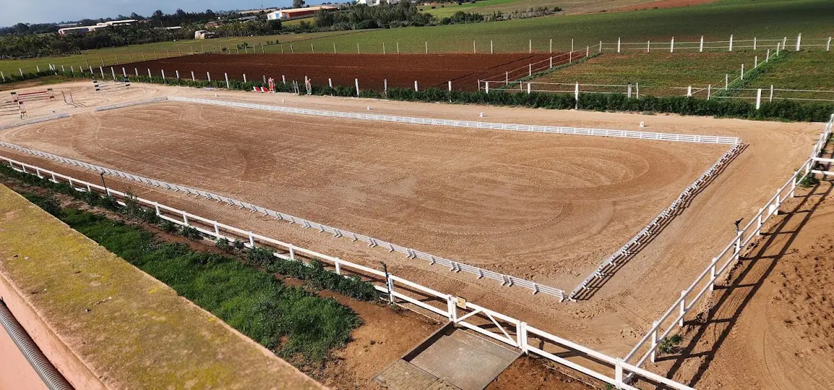 Equestrian Center Ouled Azzouz Les Ecuyers De Casablanca · Équitation · Casablanca