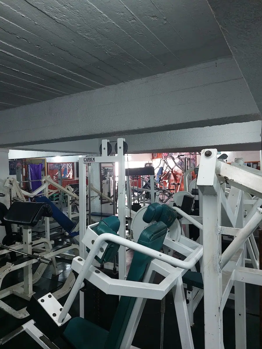 Safi Salam Sport · Fitness & Musculation · Safi