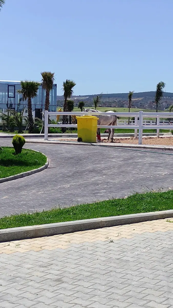 Club JBK Jumping Horses · Équitation · Tanger · photo 3