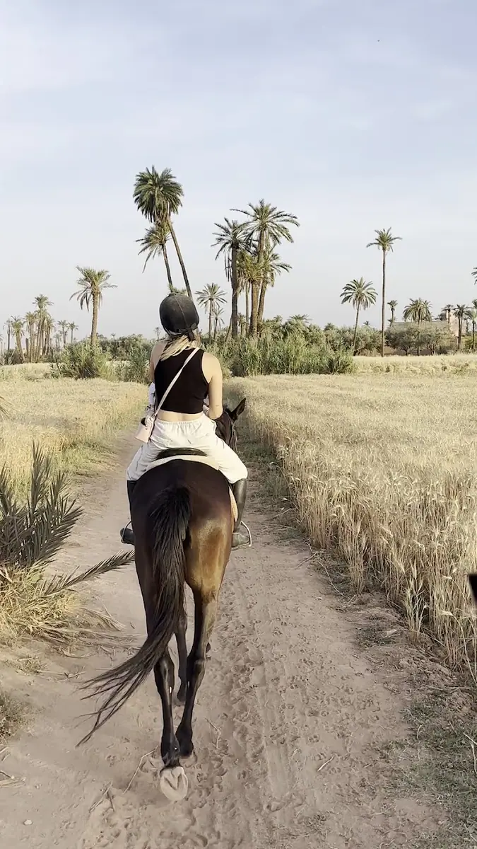 Cheval Marrakech · Équitation · Marrakech · photo 2