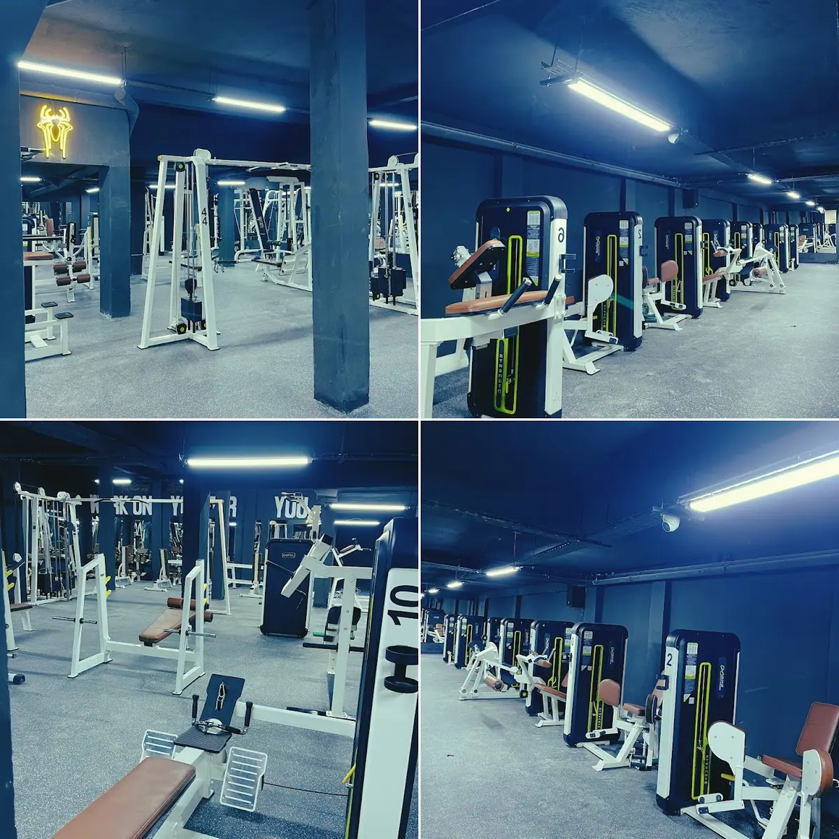 The Real gym · Fitness & Musculation · Meknès · photo 3